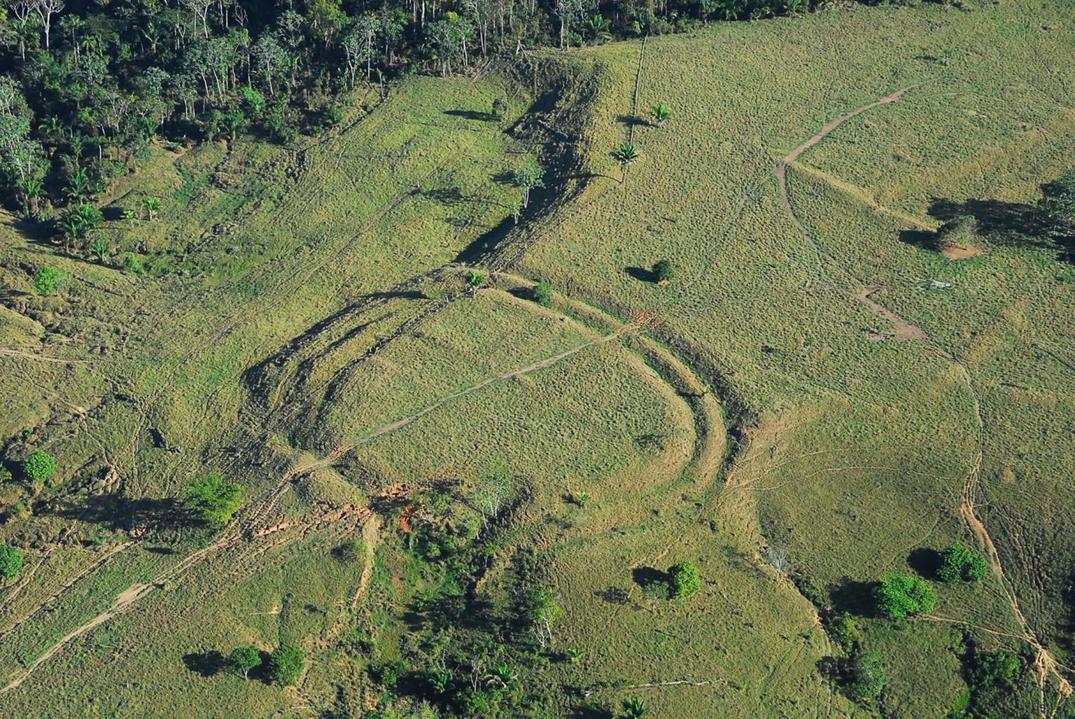 Üks Amazonase «Stonehenge'i» ringidest