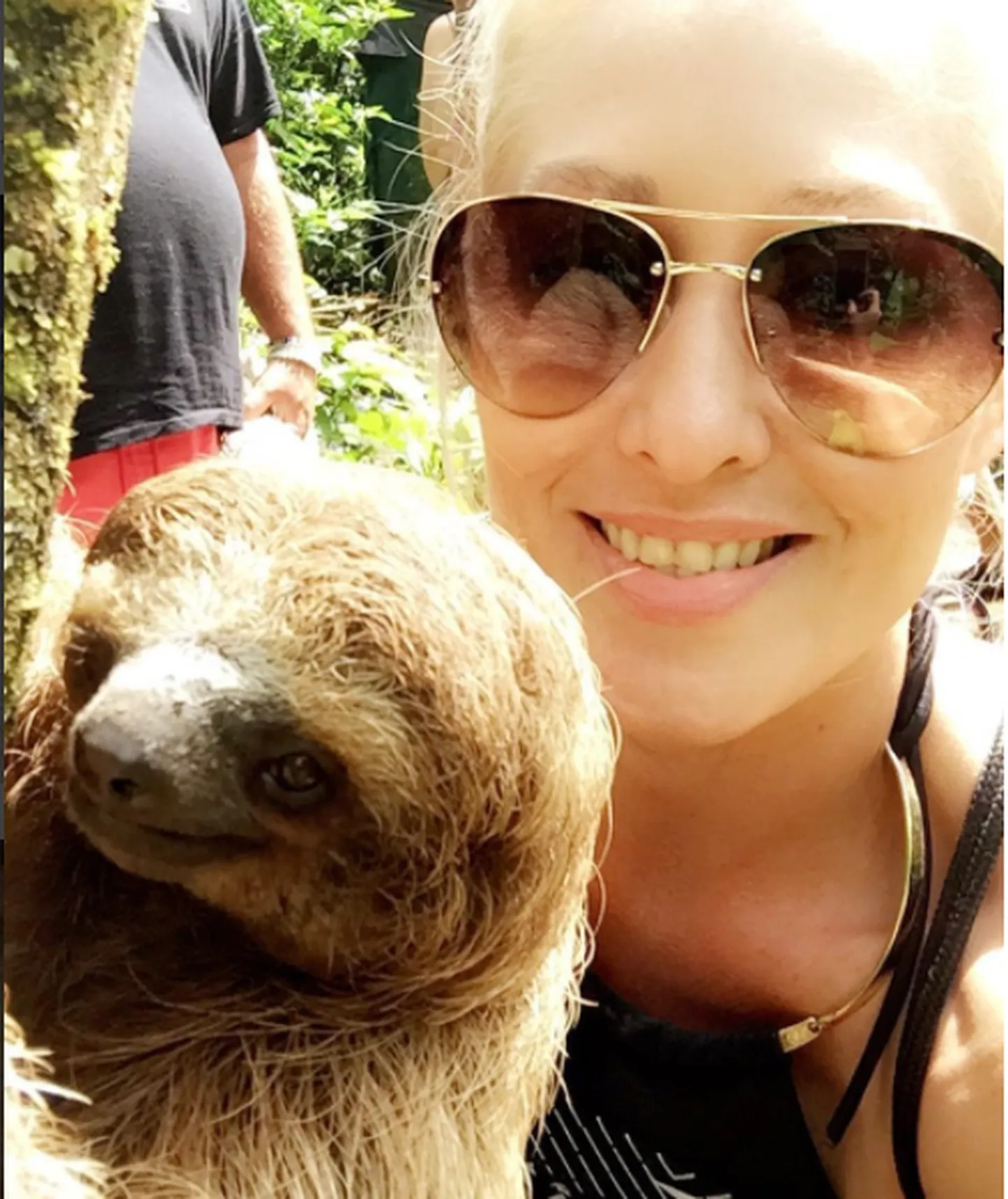 Turistiselfie laiskloomaga. Ära sina nii tee!