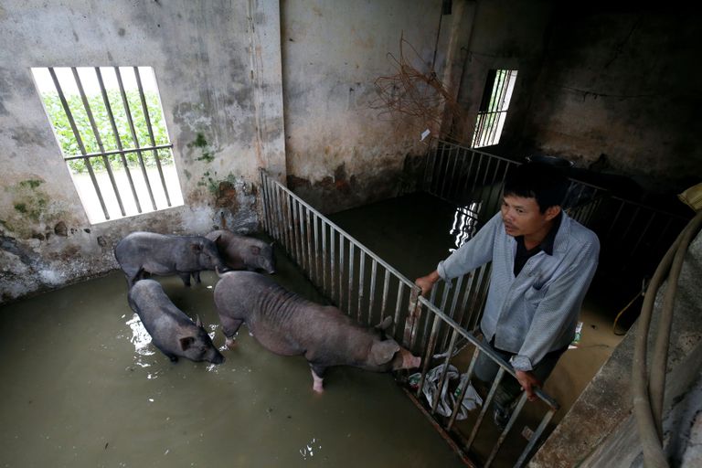 Vietnami seafarmer üleujutatud laudas