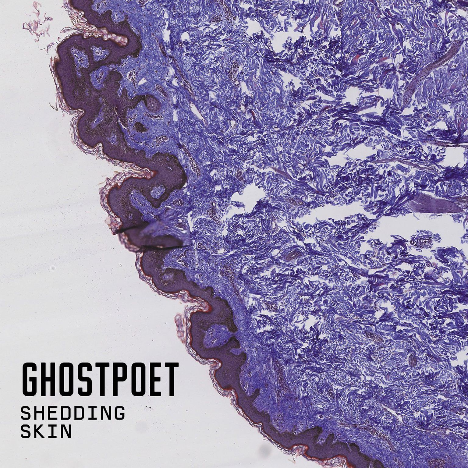 Ghostpoet-Shedding Skin