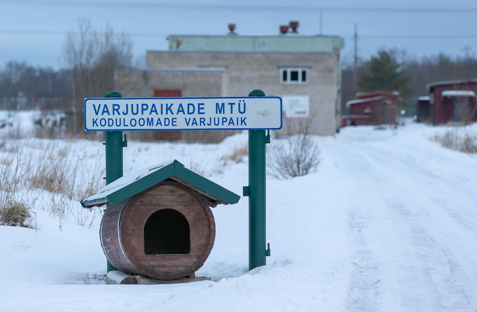 Loomade varjupaik tegutseb Viljandi külje all Tümal.