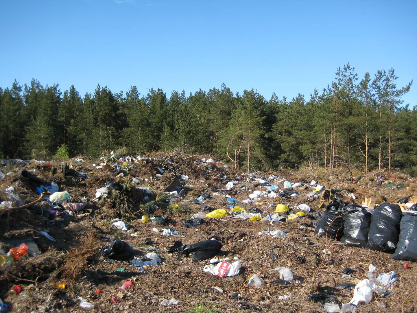 Niisugune nägi Liiva kalmistu prügila välja 2009. aasta kevadel.